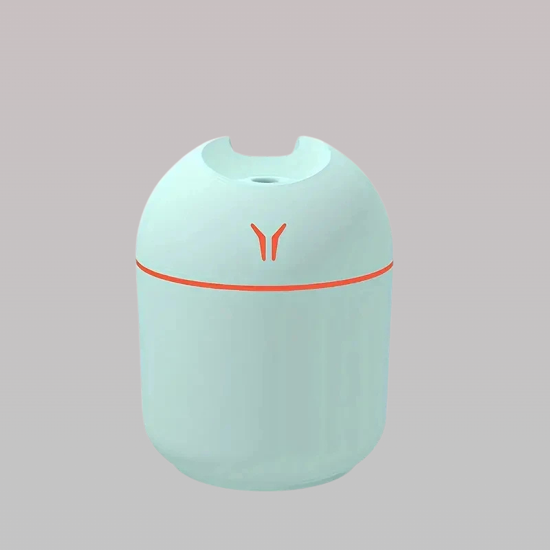 Portable 250ml Mini Air Humidifier Mist Sprayer