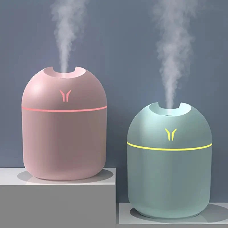 Portable 250ml Mini Air Humidifier Mist Sprayer